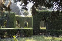Looking across rose beds to a curving hedge with window arches cut through. Real Alcazar Palace gardens, Seville. Spain. September. 