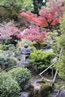 View of garden with stone lantern or Ishidoro and water feature. Trees with autumn colour.