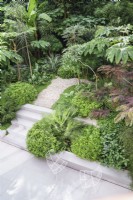 Overview of modern tropical garden with steps and gravel path