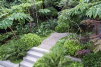 Steps and gravel path through tropical modern garden planting
