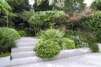 Modern garden with tropical planting