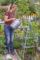 Woman watering with comfrey feed, diluted in a ratio of 1 to 10.