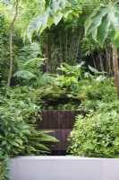 Lush planting in shaded border around corten steel water feature