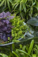 Round pot on metal stand planted with purple leaved Heuchera and Creeping Jenny.