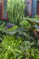 Detail of a shade garden with aound pot on metal stand planted with purple leaved Heuchera and Creeping Jenny, bromeliads, Philodendron and a Euphorbia.