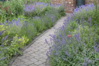 Brick path edged with Nepeta at North Cottage garden, Whittington - open for Charity, June