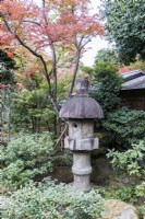 Stone lantern or Ishidoro with surrounding evergreen shrubs and Acer in Autumn colour. 