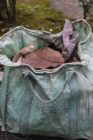 Canvas bag with cleared leaves.