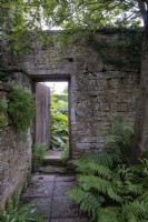 Shady paved courtyard garden, with ferns beneath tree canopy. Walled garden beyond, with opened gate leading through
