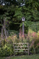 Bird box on post in deep border in summer garden