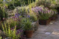 Selection of large metal and stone trough planters, with pink and blue summer planting.