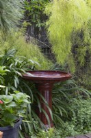 Glazed ceramic bird bath in a garden surrounded by plants.