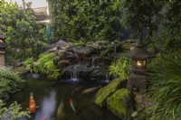 Koi carp pond at dusk with waterfall and an illuminated Japanese pagoda style lantern.
