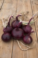 Onion 'Red Pearl'

