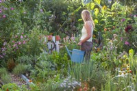 Woman with a watering can in summer garden with vegetables, herbs and flowers including Agastache, Echinacea, Dahlia, Calendula and others.