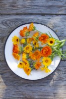 Harvested Calendula officinalis - pot marigold on enamel plate.