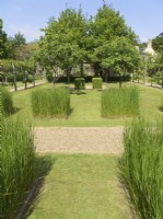 Ornamental grass squares in lawn