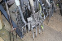 A selection of gardening tools, mainly forks, all stored together in a jumble. 