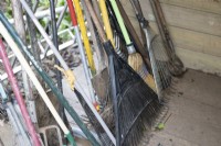 A selction of gardening tools, mainly rakes stored together. 
