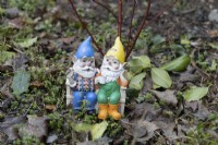 A colourful pair of gnomes on a bench with names, Bill and Jerry, written on the hats. 