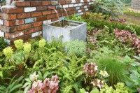 A fountain flowing out of a brick wall and flow of water through copper piping to old galvanised water tank surrounded by lush plants in early spring garden. Plants: Helleborus x ballardiae 'Candy Love', Euphorbia characias sub. Wulfenii, Polystichum aculeatum, Blechnum spicant,Euphorbia x martini, Mahonia x media Winter Sun. April
Designer: Pam Creed
