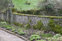 Moss covered wall at Cerney House Gardens in winter