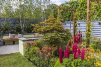Small garden with a colourful perennials bed and a relaxation area. The perennials border plantings with Lupinus 'Red Rum' and Acer palmatum`Osakazuki'. June. Designer: Colm Carty, Bord Bia Bloom 2023 