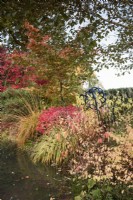 Pond edged with cornuses, Euonymus alatus and ornamental grasses in November