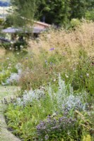 Border of herbaceous perennials and ornamental grasses in July