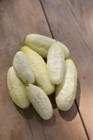 Cucumber 'Miniature White'
