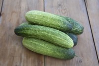 Cucumber 'Chompers'
