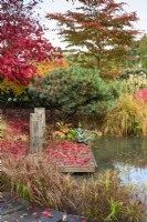 Decking with wooden seat and frog sculpture beside a pond in a November garden