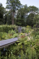 Woodland garden with walkway leading to black alder forest