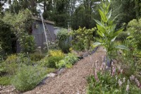 Woodchip pathway in naturalistic woodland garden