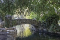 An arching stone bridge over water and under mixed foliage from trees. Parque de Maria Luisa, Seville, Spain. September