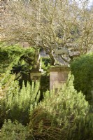 Classical statues surrounded by bushy evergreens at Iford Manor in January