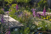 A wooden boardwalk goes through dense plantings of flowering perennials with Digitalis purpurea, Lychnis flos-cuculi 'Petite Jenny' and ornamental leaves. June, Designer: Robert Moore
