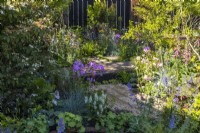A wooden boardwalk and gravel path go through dense plantings of flowering perennials bed with Phlox carolina 'Bill Baker', Aquilegia, ornamental grasses and shrubs. Charred black fence at the back. Designer: Robert Moore
