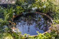 Reflections in a corten water bowl surrounded by flowering perennials and ornamental foliage Brunnera macrophylla 'Jack of Diamonds'