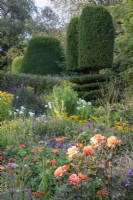Yew topiary forms a background to summer borders with roses and crocosmia in the Flower Garden at The Manor Little Compton.