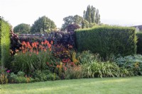 The orange section of The Palette, colour-themed borders at The Manor, Little Compton with dahlias, kniphofia, helenium, helliopsis and Vitis coignetiae.