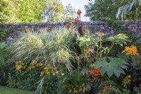 The summer borders in the Swimming Pool Garden at The Manor, Little Compton. Planting includes Miscanthus sinensis 'Variegatus', cannas, ligularia and Tetrapanex 'Rex'.