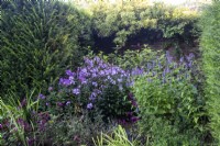 The purple section of The Palette, colour-themed borders at The Manor, Little Compton with  phlox, penstemon, and agastache.