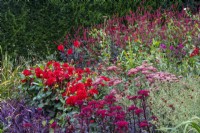 The red section of The Palette colour-themed borders at The Manor, Little Compton, Cotswolds