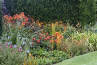 Orange planting against a yew hedge in The Palette colour-themed borders at The Manor, Little Compton, Cotswolds