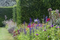 Salvia farinacea 'Victory', Callistephus chinensis 'Duchesse Mid Blue' and Acanthus mollis in 'The Palette' colour-themed borders in summer at The Manor, Little Compton, Cotswolds