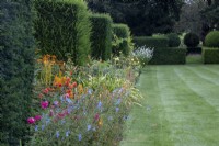 Clipped yew hedges divide The Palette colour-themed borders with mown lawn alongside at The Manor, Little Compton, Cotswolds