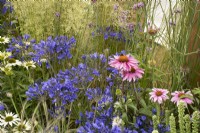 RHS Tatton Park 2022 - Petrus Community: Journey Home Garden - mixed border with agapanthus and echinacea - Designer Rachael Bennion