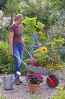 A woman with a wheelbarrow loaded with potted herbs and bedding flowers.
