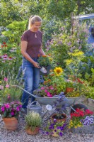 A woman with a wheelbarrow full of potted flowers ready for planting.